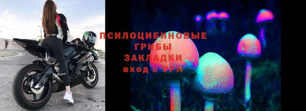 MESCALINE Лабытнанги
