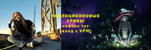 MESCALINE Лабытнанги