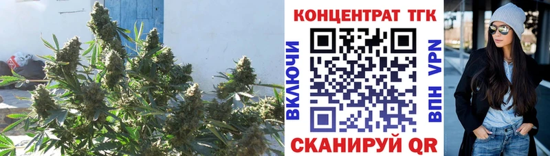 кракен ONION  Медвежьегорск  Дистиллят ТГК гашишное масло 
